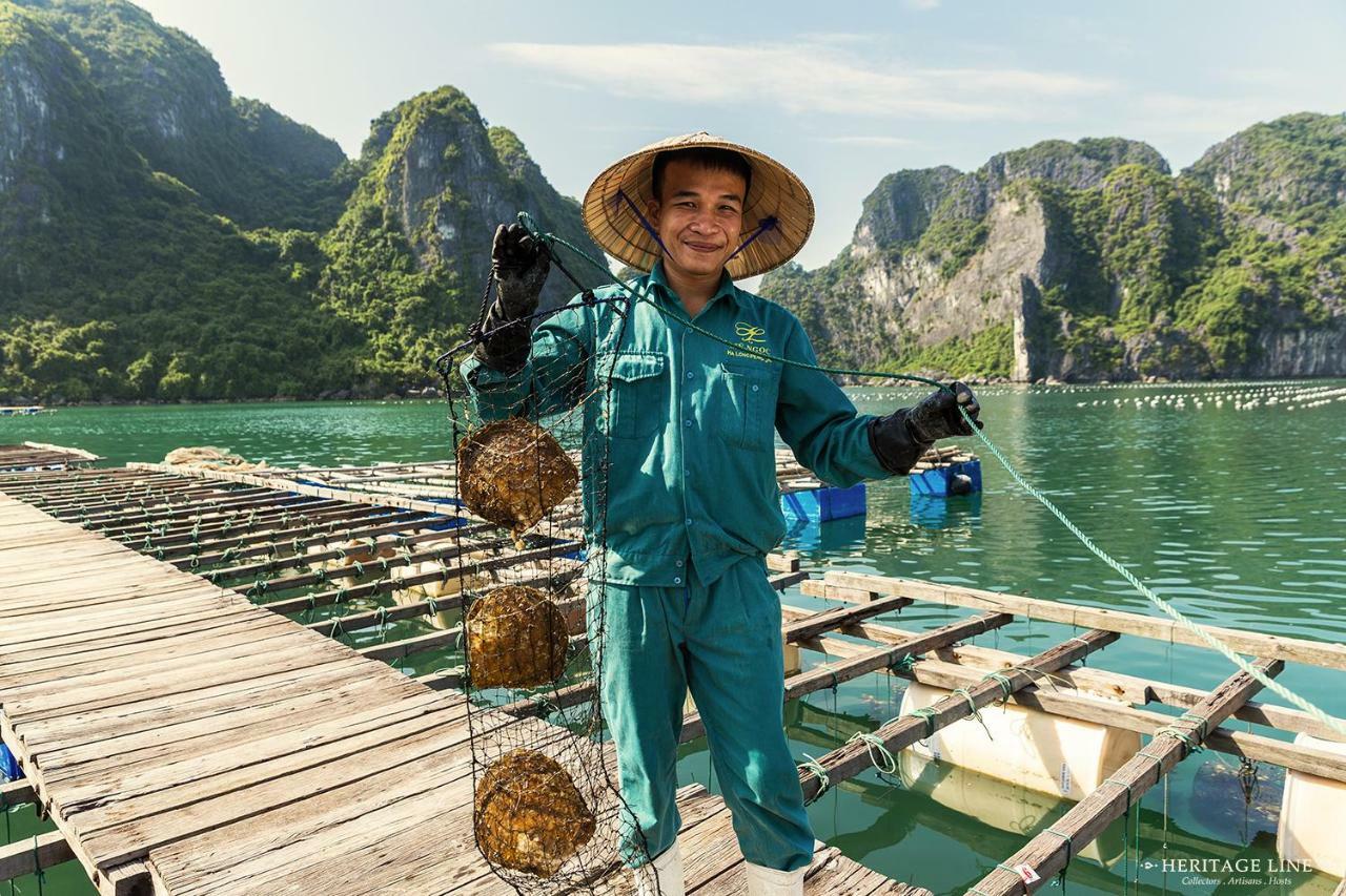 Heritage Line Violet Cruise - Halong Bay & Lan Ha Bay Халонг Экстерьер фото